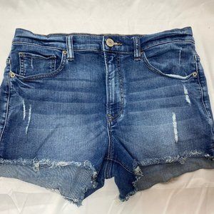 Express Women's Jean Shorts - 10